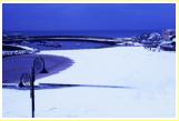 Snowy Beach, Lyme Regis