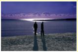 Stroll on the beach, Lyme Regis