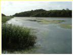 BOSHERSTON LILY PONDS.  Situated in South Pembrokeshire's national park, well worth a visit.